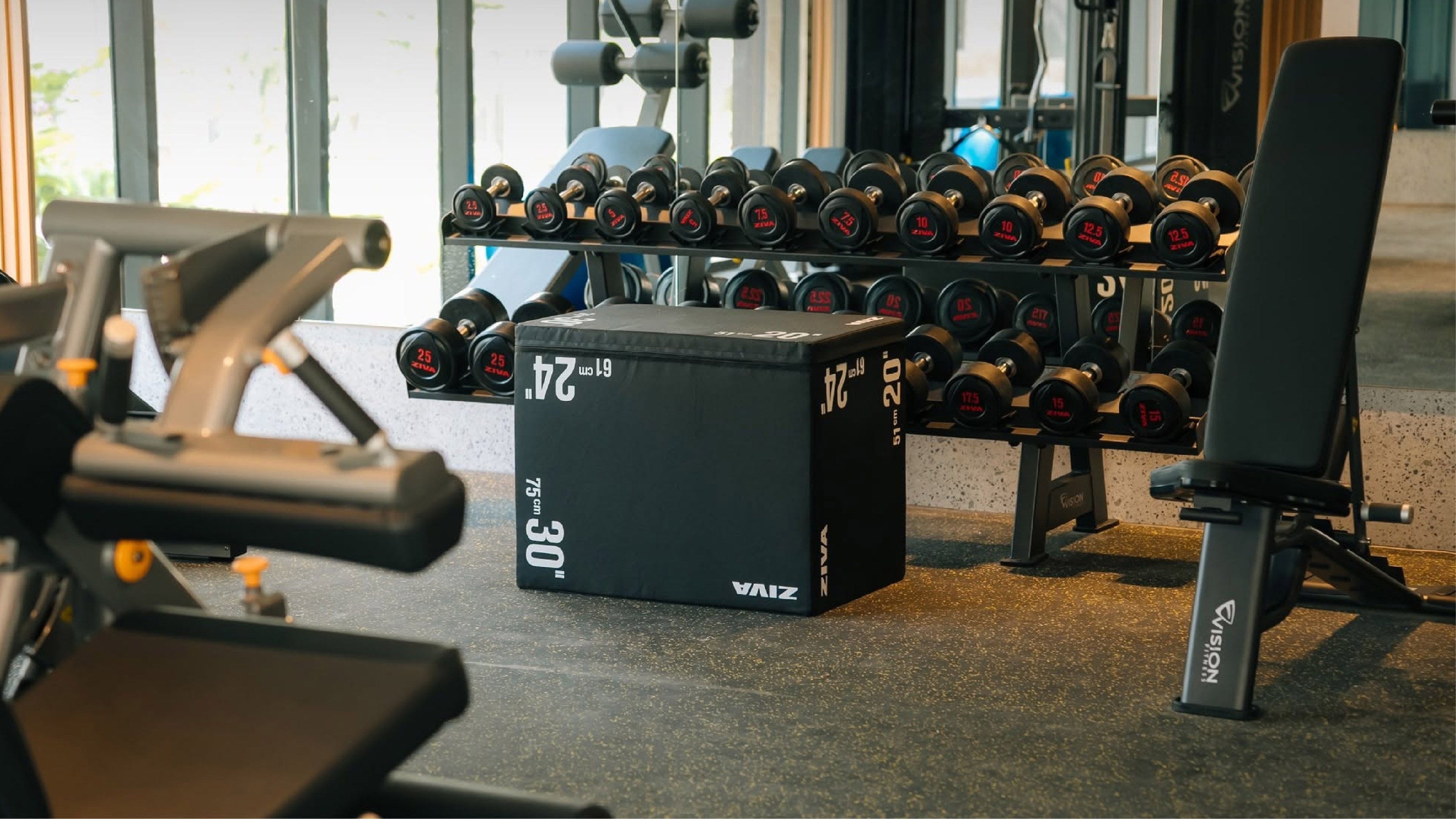 GYM - ảnh 3